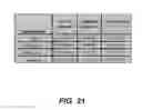 Fig. 22 - Endophytic yeast strains, methods for ethanol and xylitol production, methods for biological nitrogen fixation, and a genetic source for improvement of industrial strains