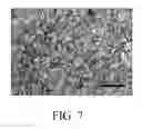 Fig. 09 - SYSTEM AND PROCESS FOR FORMATION OF EXTRUSION STRUCTURES