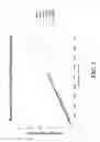 Fig. 04 - SYSTEM FOR PIPELINE DRYING AND FREEZING POINT SUPPRESSION