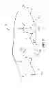 Fig. 07 - Saw blade