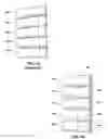 Fig. 09 - Firearms for firing shotshell type ammunition