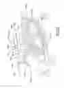 Fig. 16 - Adhesive applicator
