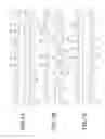 Fig. 07 - Piston for internal combustion engine