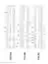 Fig. 08 - Piston for internal combustion engine