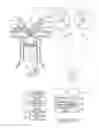 Fig. 01 - Internal combustion engine