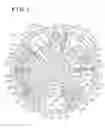 Fig. 06 - INTERNAL COMBUSTION ENGINE