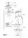 Fig. 04 - SYSTEM FOR CONTROLLING DELIVERY OF RESPIRATORY GAS
