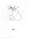 Fig. 02 - High Concentration Nasal Oxygen Mask
