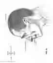 Fig. 07 - Nasal mask system