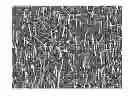 Fig. 01 - NANOSTRUCTURE, NANOSTRUCTURE FABRICATION METHOD, AND PHOTOVOLTAIC CELL INCORPORATING A NANOSTRUCTURE