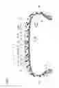 Fig. 02 - Pneumatic tire