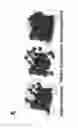 Fig. 06 - LARGE-AREA FILMS USING INTERFACIAL SELF-ASSEMBLY OF MICROPARTICLES AND METHOD OF MANUFACTURING THE SAME