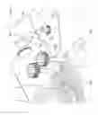 Fig. 09 - Cutting and splicing apparatus for conveyor belts and method