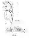 Fig. 04 - Double pleat cellular shade with vanes