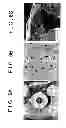 Fig. 07 - Method for molding sand mold and sand mold