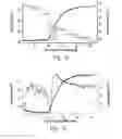 Fig. 10 - Amide branched aromatic gelling agents