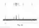 Fig. 35 - Amide branched aromatic gelling agents