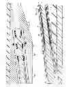 Fig. 11 - Wet connection system for downhole equipment