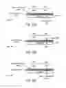 Fig. 20 - Patterned transparent conductors and related manufacturing methods