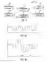 Fig. 03 - Sprinkler assembly