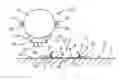 Fig. 01 - Method for landing an airship on a landing device placed on the ground