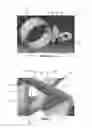 Fig. 06 - Releasable securing mechanism