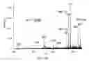 Fig. 22 - Method and apparatus for pyrolysis-induced cleavage in peptides and proteins