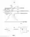 Fig. 07 - Incoherent transmission electron microscopy