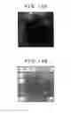 Fig. 13 - Charged-particle radiation apparatus