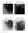 Fig. 16 - Charged-particle radiation apparatus