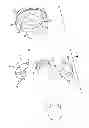 Fig. 07 - RAM SHAFT ASSEMBLY FOR BLOWOUT PREVENTER
