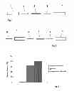 Fig. 02 - METHOD FOR GENERATING DRIED CELLULOSE AND CELLULOSE-CONTAINING MATERIAL, AND RESWELLABLE CELLULOSE PRODUCTS PRODUCED BY THIS METHOD