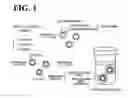 Fig. 02 - Semiconductor nanoparticles and fluorescent probe for biological labeling