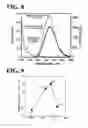Fig. 06 - Semiconductor nanoparticles and fluorescent probe for biological labeling