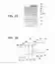Fig. 03 - Semiconductor light emitting device and light coupling device