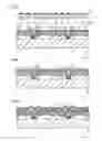 Fig. 08 - Organic EL display panel and method of manufacturing the same