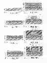 Fig. 06 - Display device, thin film transistor, method for manufacturing display device, and method for manufacturing thin film transistor