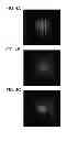 Fig. 05 - Oxide semiconductor film and method for forming oxide semiconductor film