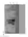 Fig. 15 - Thin film transistor
