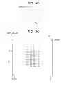 Fig. 45 - Method of manufacturing semiconductor device, and semiconductor device