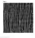Fig. 08 - METHOD FOR PRODUCTION OF MATERIALS HAVING ANISOTROPIC PROPERTIES COMPOSED OF NANOFIBRES OR MICROFIBRES AND AN APPARATUS FOR IMPLEMENTATION OF SAID METHOD