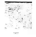 Fig. 02 - Wear protection layer for piston rings