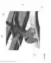 Fig. 07 - Recumbent vehicle