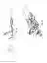 Fig. 07 - Ski binding