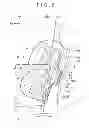 Fig. 07 - Vehicle side airbag device