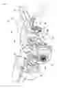Fig. 13 - Tilt steering apparatus