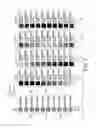 Fig. 02 - ANTI-COUNTERFEIT PRINTED MATTER