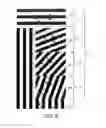 Fig. 08 - ANTI-COUNTERFEIT PRINTED MATTER
