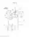 Fig. 07 - Vehicle front body structure