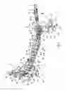 Fig. 02 - Front end module